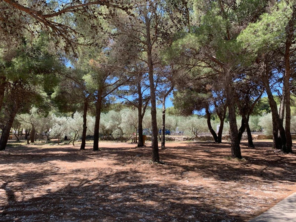 יזרה Lunabay II Mobile Home מראה חיצוני תמונה